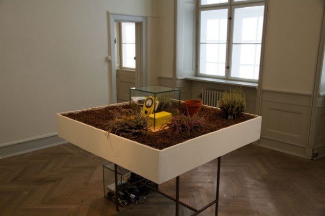 Yuji Dogane: Ecological Plantron / Radioactive Plantron. Foto: Museet for Samtidskunst, 2011