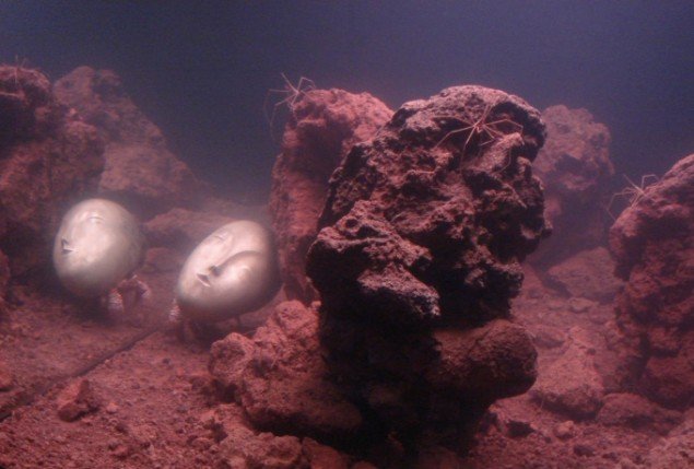 Recollection, Pierre Huyghe, 2011 (udsnit), eremit krebs opfører ’Aquatic performance’ i surreelt landskab (Foto: Cecilie Gravesen)