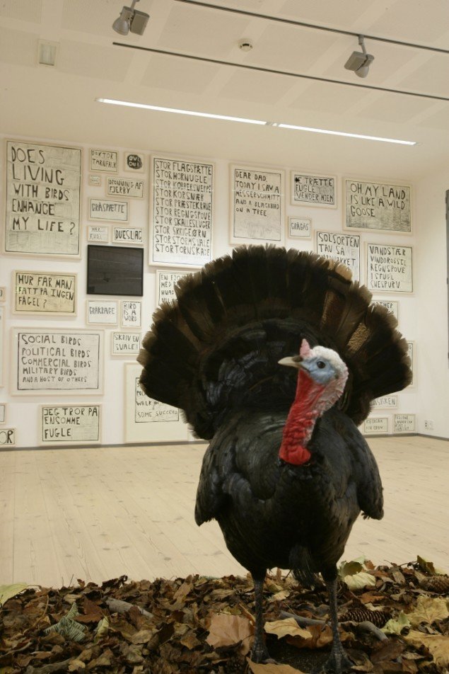 Bird is a Word, Installationview, Vendsyssel Kunstmuseum, 2009