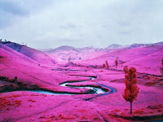 Richard Mosse: Platon, 2012 Digital c-print Collection of the Arts Council of Ireland. (Courtesy of the artist, Jack Shainman Gallery / carlier ǀ gebauer)
