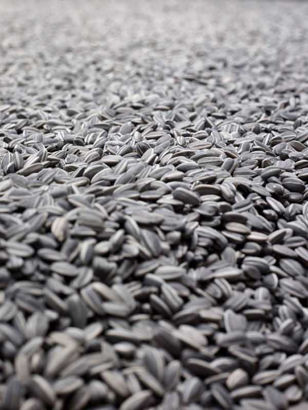 Ai Weiwei: Sunflower Seeds (15 tons), 2010, håndlavede solsikkefrø i porcelæn, Collection Faurschou Foundation.