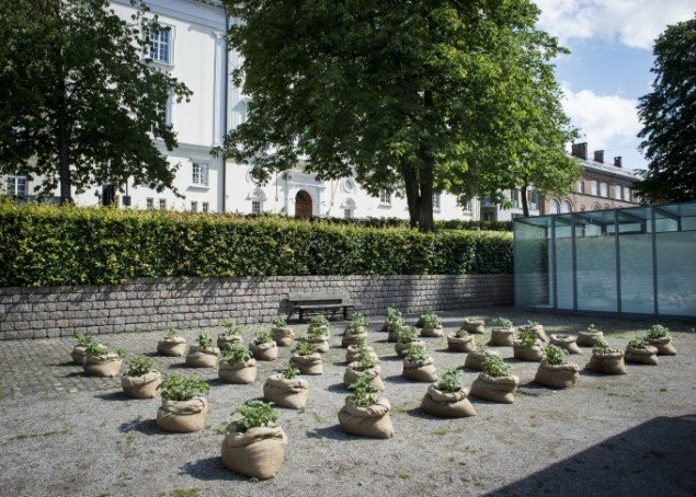 Åsa Sonjasdotter: Between Plants and Politics, 2015. Foto: Kunsthal Aarhus 