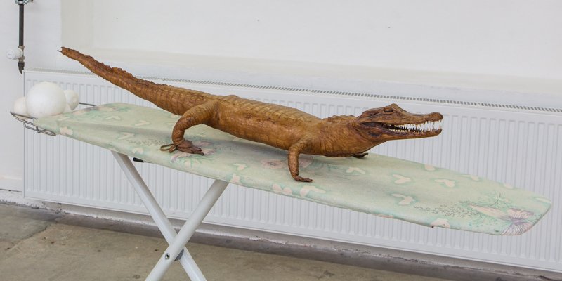 En alligator på et strygebræt