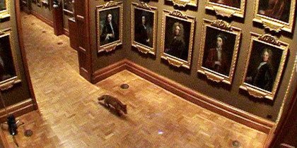 Når ræven går på museum