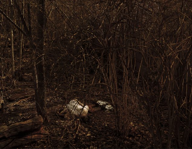 Taryn Simon: An American Index of the Hidden and Unfamiliar, 2007: Forensic Anthropology Research Facility, Rådnende lig, University of Tennessee. Knoxville, Tennessee.