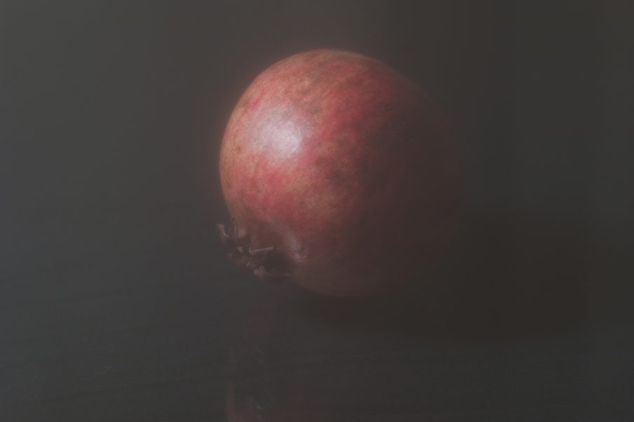 © Morten Andenæs_The Fruit of the Dead_2019