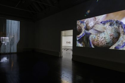 Installationsvue, Kunstnernes Efterårsudstilling 2020. Her ses bl.a. Davide Hjort Di Fabio og Mihkel Pajuste & Mariliis Kundla. Foto: I DO ART Agency.
