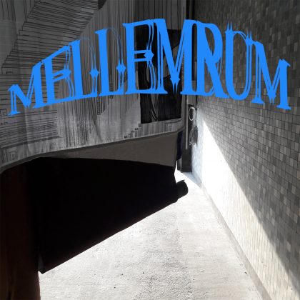 MELLEMRUM – Uafhængige udstillingssteder i København #1: Vermillion Sands