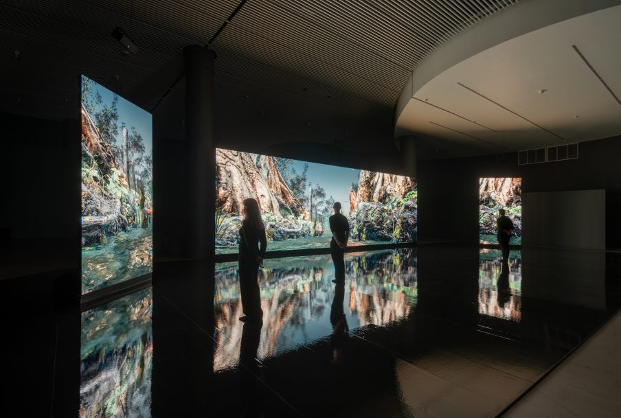 Jakob Kudsk Steensen digitaliserer sumpen – og genopfører den i storslået museumspræsentation