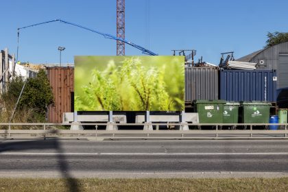 Kunstrute gennem Københavns Nordhavn zoomer ind på naturen i byen