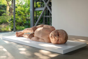 Ron Mueck: Art and Life