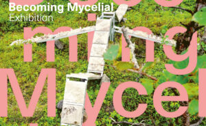 Becoming Mycelial